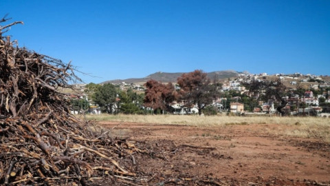 Ακαθάριστα οικόπεδα 