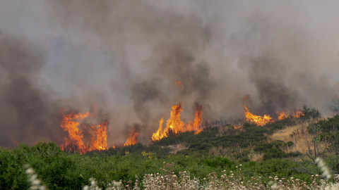 Πυρκαγιά στην περιοχή Καλαπόδι Φθιώτιδας