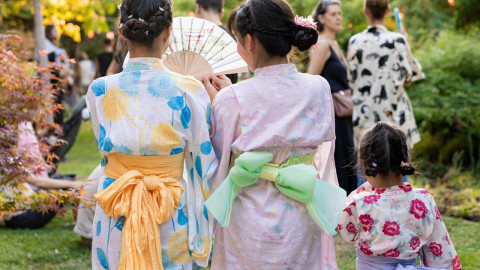 Φεστιβάλ Natsu Matsuri 2026