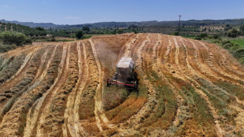 Αγροτικές εργασίες