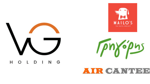 VG Holding