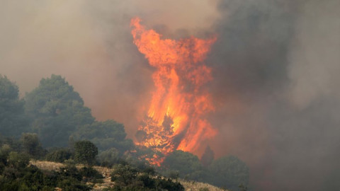 Μαίνεται ανεξέλεγκτη η φωτιά στη Χαλκιδική