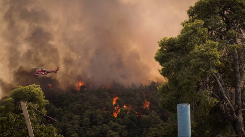 Πυρκαγιά στη Σιθωνία Χαλκιδικής