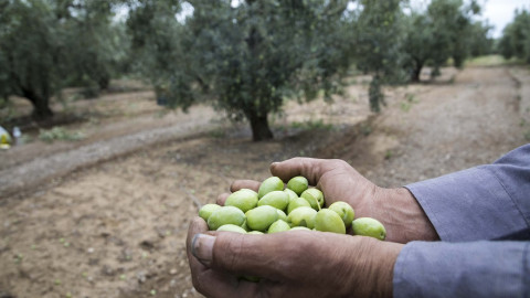 Η σημασία της Κίνας για τις ελληνικές εξαγωγές