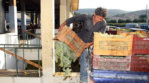 Οι αγρότες της Κρήτης διεκδικούν αποζημιώσεις