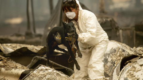 Καλιφόρνια: Τουλάχιστον 56 νεκροί-Πάνω από 100 αγνοούμενοι