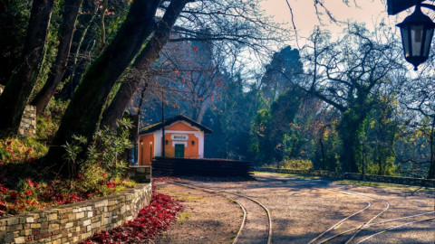 Βόλος: Το θρυλικό τρενάκι του Πηλίου