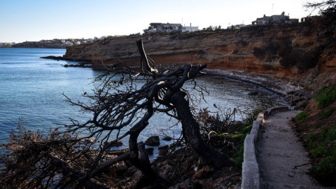 Ιθαγένεια στους μετανάστες που έσωσαν ζωές στο Μάτι