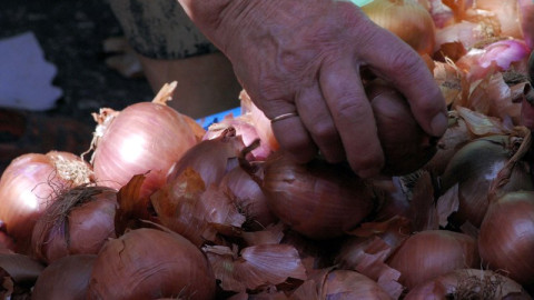 Δεσμεύτηκαν 25 τόνοι κρεμμύδια