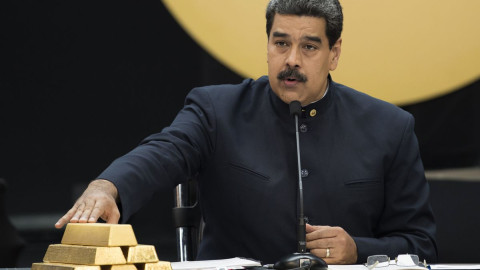 Maduro_Gold