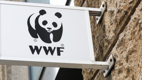 WWF: Επιστολή διαμαρτυρίας στο υπουργείο Περιβάλλοντος