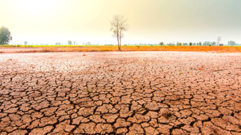 Η ξηρασία απειλεί τη Γερμανία που αναζητά λύσεις