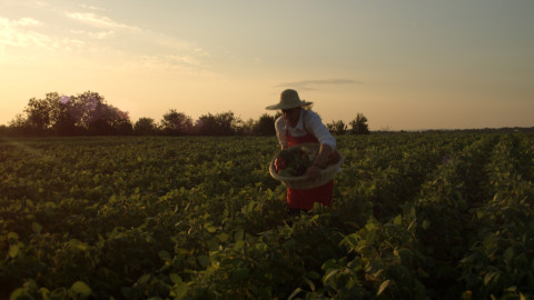 Νέες επενδύσεις 8,5 εκατ. ευρώ από την Μπάρμπα Στάθης