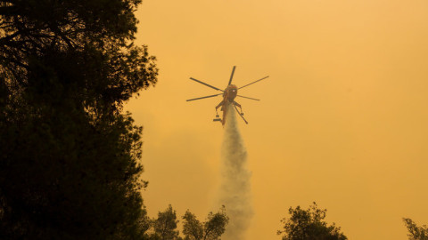 Φωτιά στην Εύβοια: Εκκενώθηκαν δύο χωριά