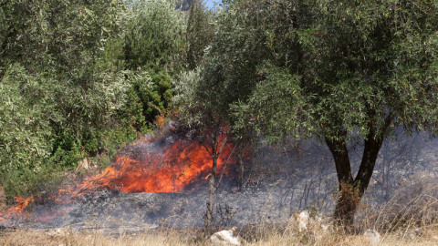 Ανεξέλεγκτη η φωτιά στον Πρόδρομο Θηβών