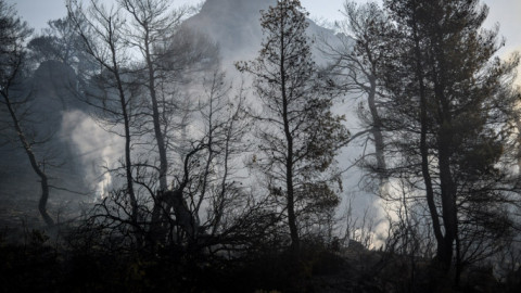 Πόσο μεγάλη είναι η καταστροφή στην Εύβοια από τις πυρκαγιές