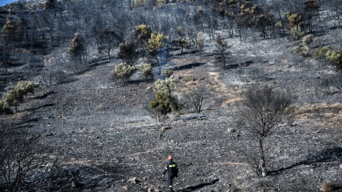 13 μέτρα για την ενίσχυση των πυρόπληκτων περιοχών του Έβρου