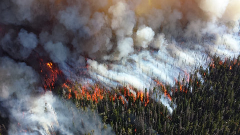 Τι αποκαλύπτουν οι καταστροφικές πυρκαγιές στη Σιβηρία