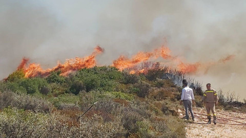 Εικόνα αρχείου από πυρκαγιά 