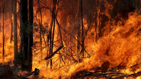 Το 2023 ήταν μια χρονιά καταστροφικών δασικών πυρκαγιών στον κόσμο