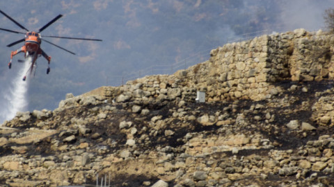 Φωτιά στις Μυκήνες: Ποια τμήματα επλήγησαν  