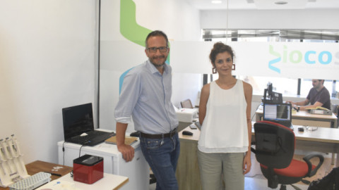 BioCos: Πλατφόρμα που διακρίνει τις ποικιλίες ελιάς με χρήση αλγόριθμου