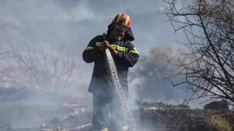 Υπό μερικό έλεγχο η φωτιά στον Βύρωνα 