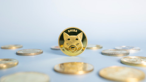 Το Crypto Shiba Inu/Φωτογραφία shutterstock