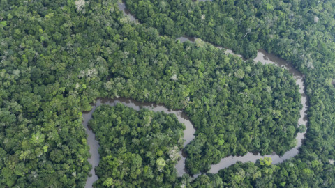  Ντι Κάπριο και ο Μπέζος βοηθούν στη δημιουργία ταμείου 200 εκατομμυρίων δολαρίων για την προστασία του Αμαζονίου