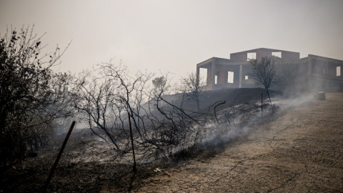 Πυρκαγιά στη Λαμία-ΝΑΣΟΣ ΣΙΜΟΠΟΥΛΟΣ/ EUROKINISSI