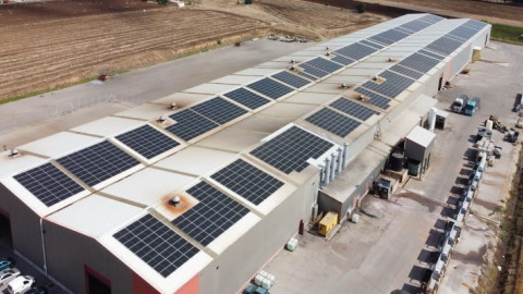 Όμιλος Καμαρίδη: Στα 106,7 εκατ. ευρώ ο τζίρος το 2022 - Στα 19,73 εκατ. τα EBITDA 