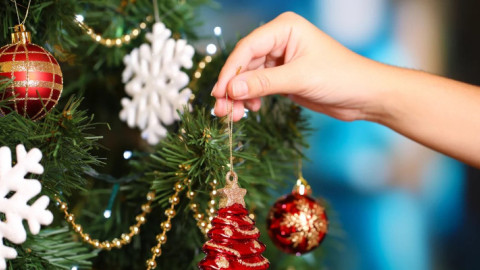 Ανακύκλωση χριστουγεννιάτικων δέντρων στη Θεσσαλονίκη