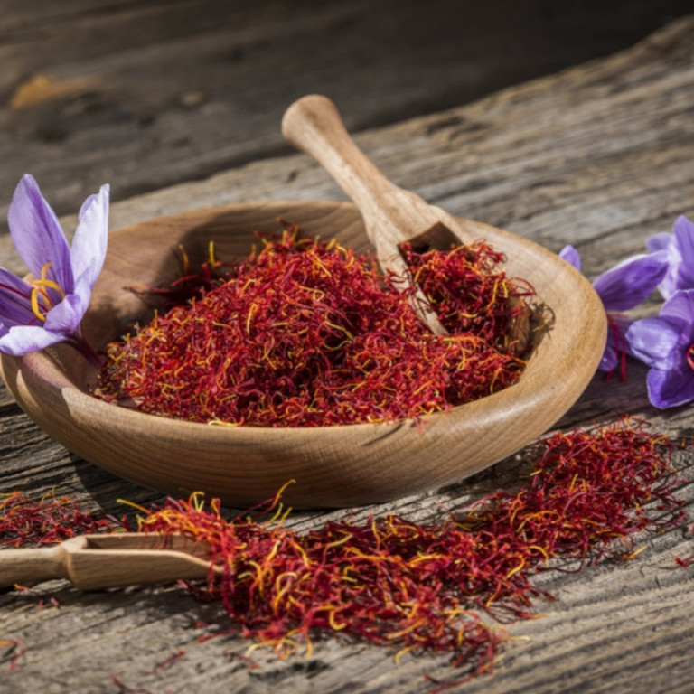 Kοζάνη: Χαμηλές και φέτος οι προσδοκίες για την φετινή παραγωγή κρόκου