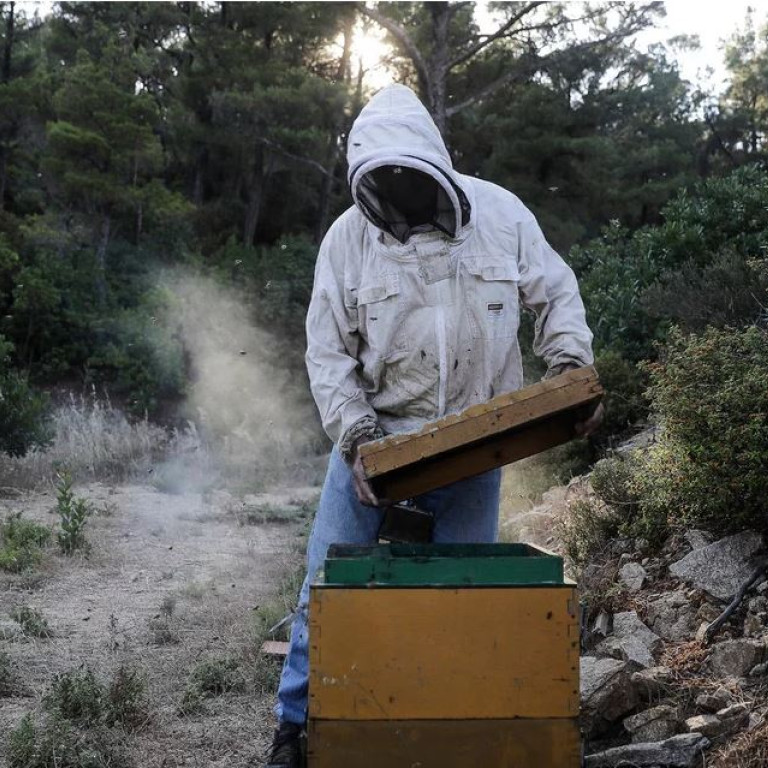 Φωτογραφία: INTIMENEWS / ΤΟΣΙΔΗΣ ΔΗΜΗΤΡΗΣ