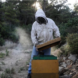 Φωτογραφία: INTIMENEWS / ΤΟΣΙΔΗΣ ΔΗΜΗΤΡΗΣ