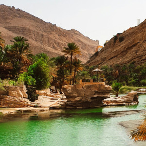 Η Σαουδική Αραβία «πρασινίζει» την έρημο /Φώτο: UNSPLASH