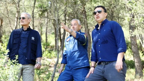 κικιλιας
