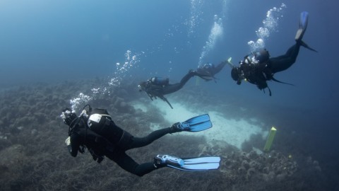 Φωτογραφία από το υποβρύχιο μουσείο