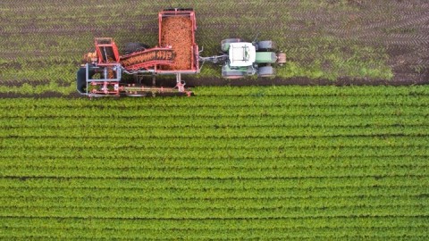 Πηγή: ΑΠΕ-ΜΠΕ
