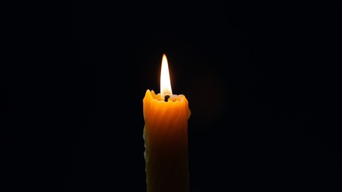Φωτογραφία shutterstock