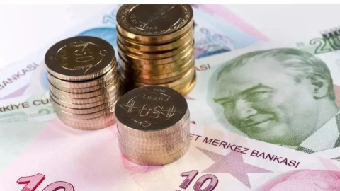 Νομίσματα και χαρτονομίσματα τουρκικής λίρας / Φωτογραφία αρχείου: Shutterstock