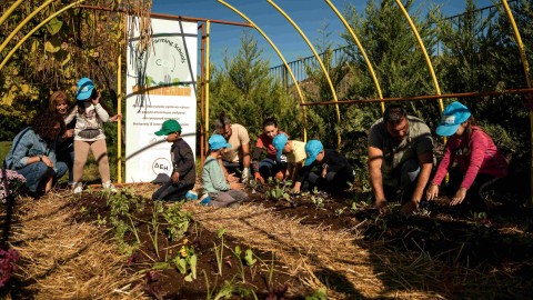 ΔΕΗ και Open Farm προωθούν τη βιώσιμη γεωργία στους μαθητές μέσω του “Carbon Farming Schools”