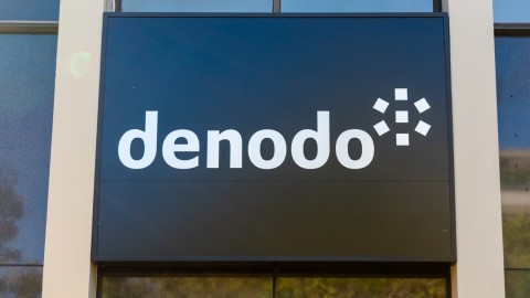 Denodo Technologies