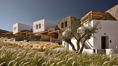 Anemelia, Mykonos