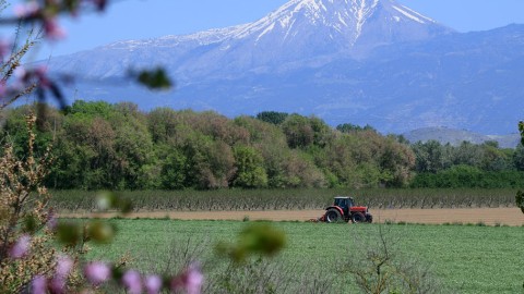 Αγρότης με τρακτέρ σε χωράφι