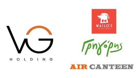VG Holding