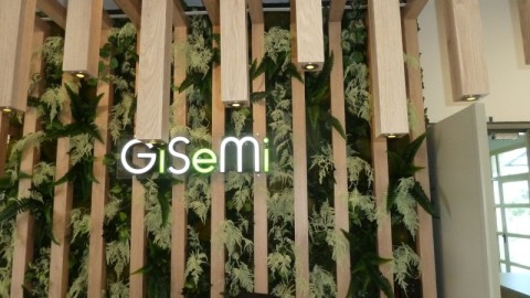 Gisemi