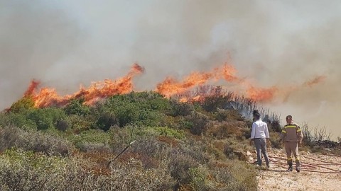 Εικόνα αρχείου από πυρκαγιά