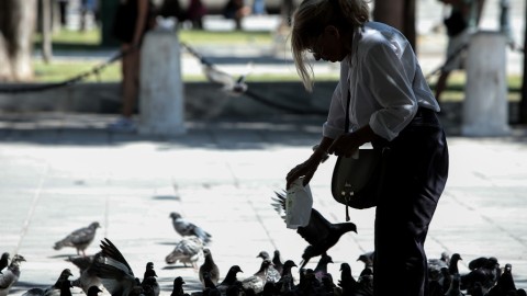 Εικόνα από μια γυναίκα που δίνει φαγητό σε περιστέρια