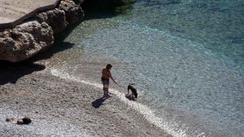 Ενας άνδρας με τον σκύλο του σε παραλία
